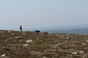 vaellus90